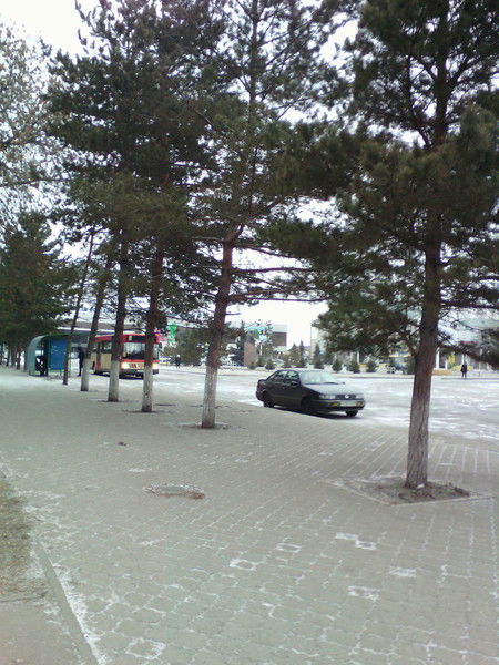 Олеся Марченко