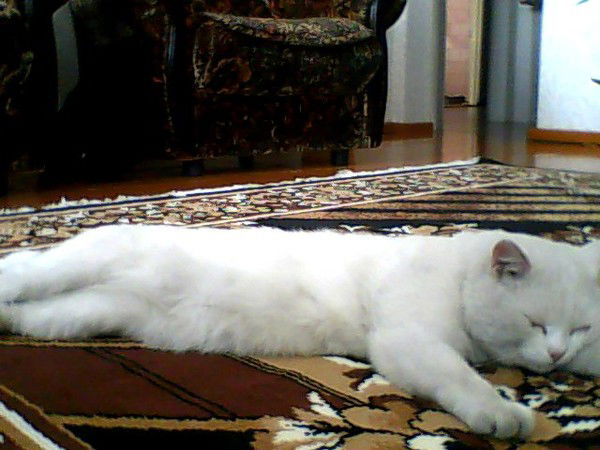 Наталья Александровна