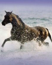 Александра Леонтьева