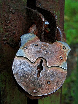 Елена Липницкая