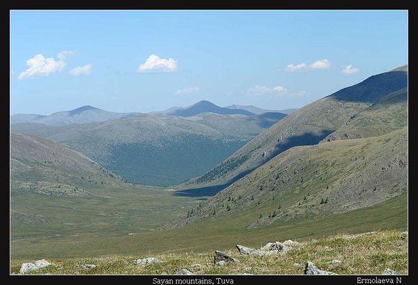 Дмитрий Скобелкин