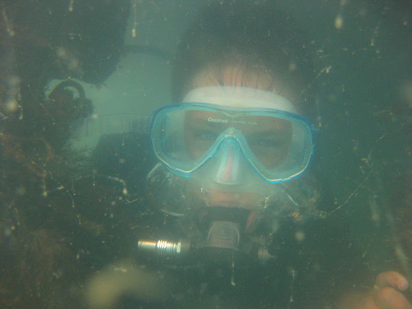 Александр Григоренко