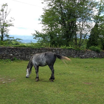 Людмила Демидова