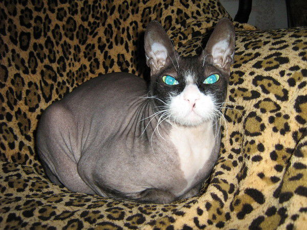 Татьяна Попова