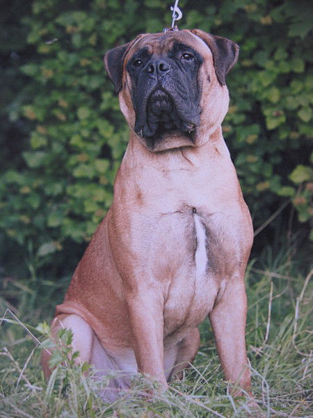 Ксения Хозяйка Чучи