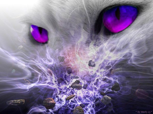 Митя Свидченко