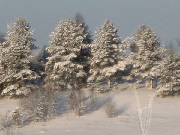 Марина Ларина