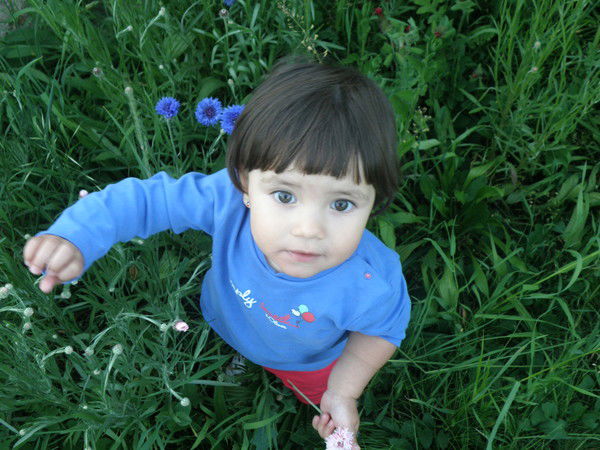 Светлана Царильник