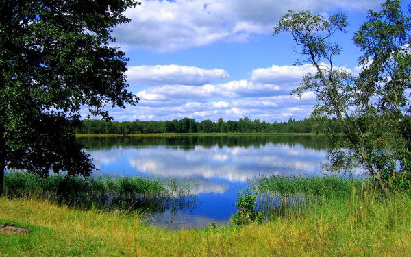 Евгений Голосов