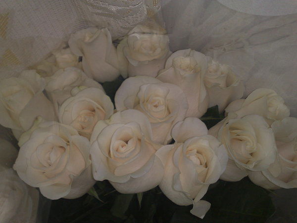 Бимуратова Айгерим