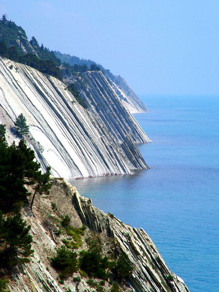 Евгений Цыганков