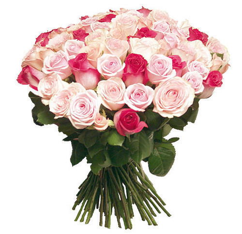 Ардак Ахмадиева