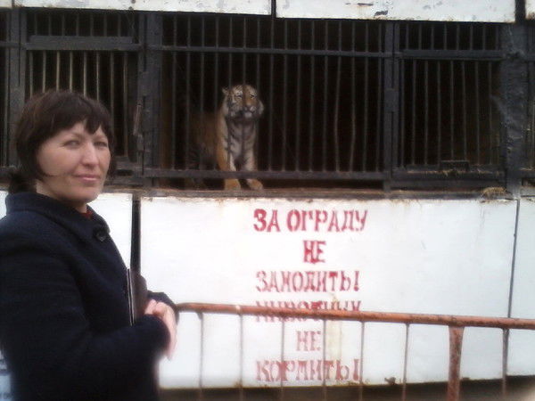 Елена Волкова