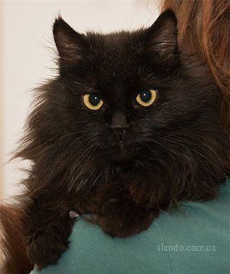 Таисия Мартынова