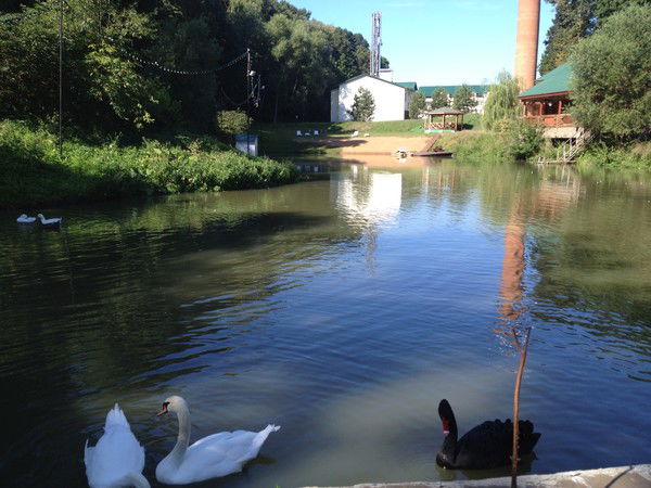 Галина Николаевна