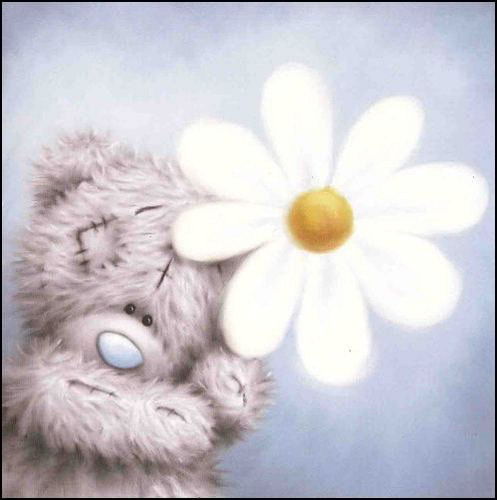 Виктория Сокол