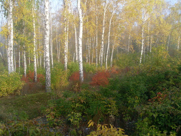 Маргарита Власова