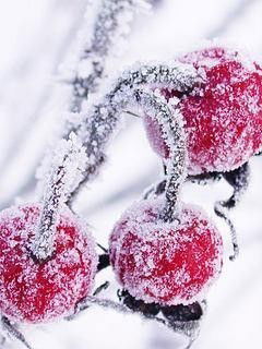 Лариса Барулина