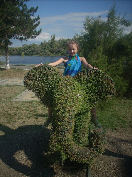 Светлана Петухова