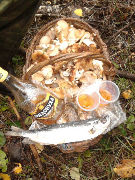 Савельев Александр