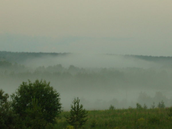 Вероника Шабанова