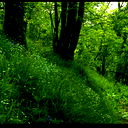 Андрей Гелета