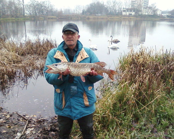 Георгий Адамович