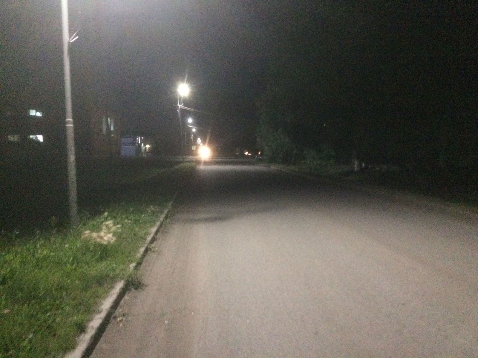 Поля Пилепишкина