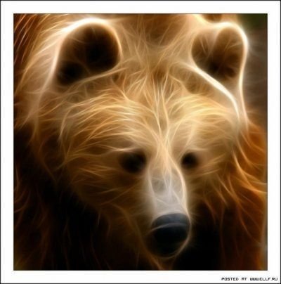 Денис Завальский