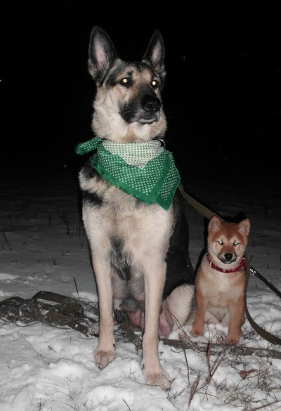 Даша Спиридонова