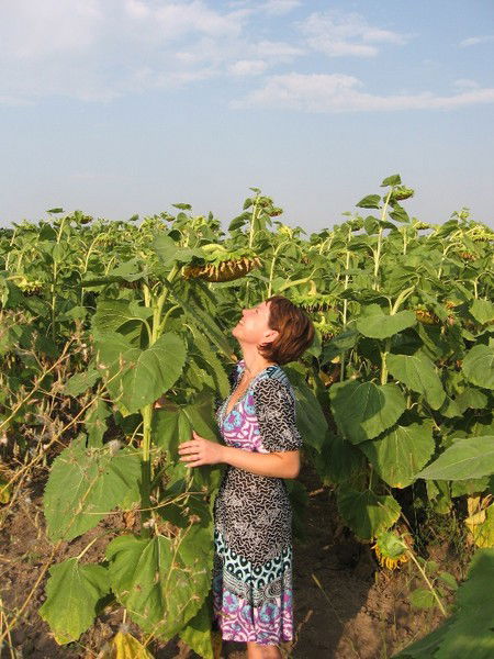 Наталья Швед