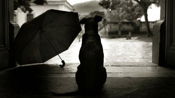 Ольга Цветаева