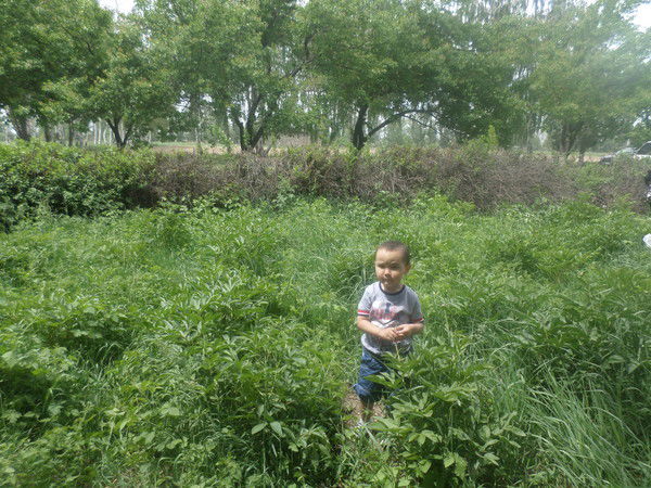 Аккагаз Устенова