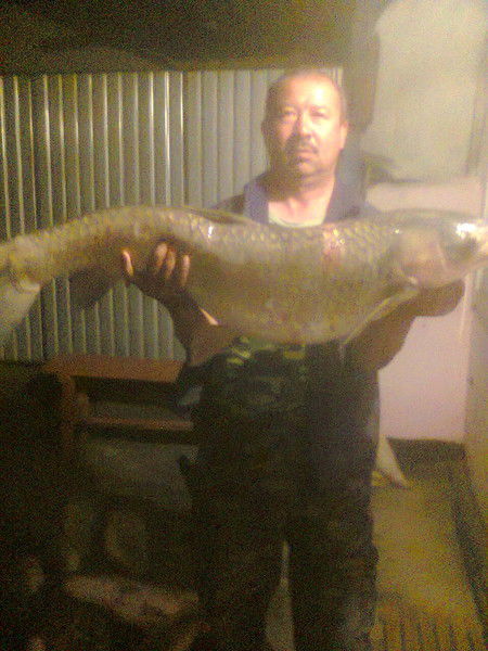 Фархат Турсунов