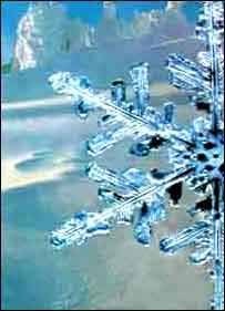 Наталья Неважно