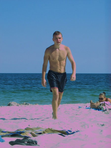 Владимир Мясников