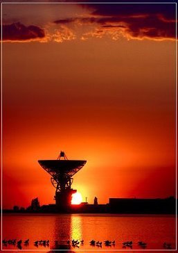 Ирина Ехина