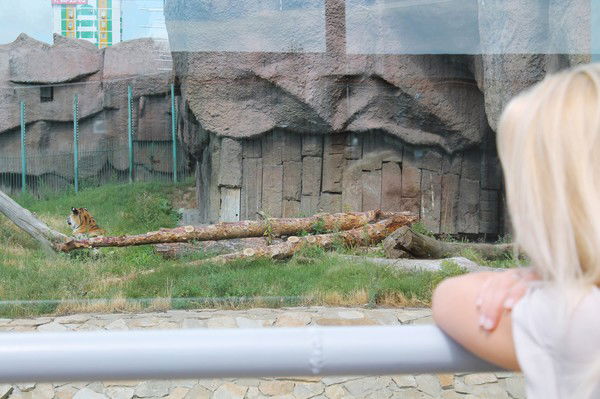 Юлия Малафеева