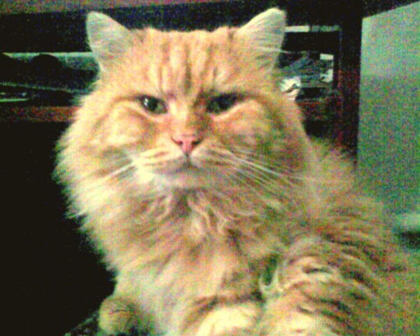 Анатолий Шишман