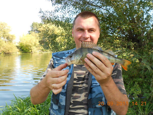 Андрей Добровинский