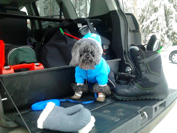 Светлана Семенова