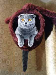 Анна Смирнова