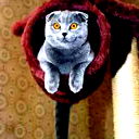Анна Смирнова