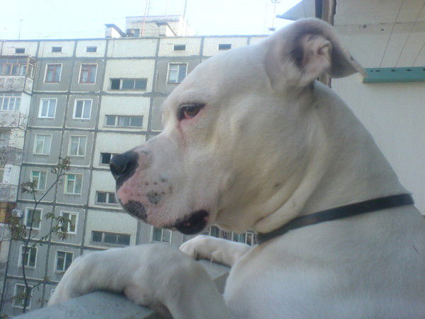 Оля Мотовилова