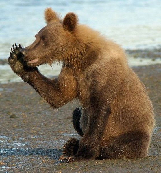 Виталий Юташ