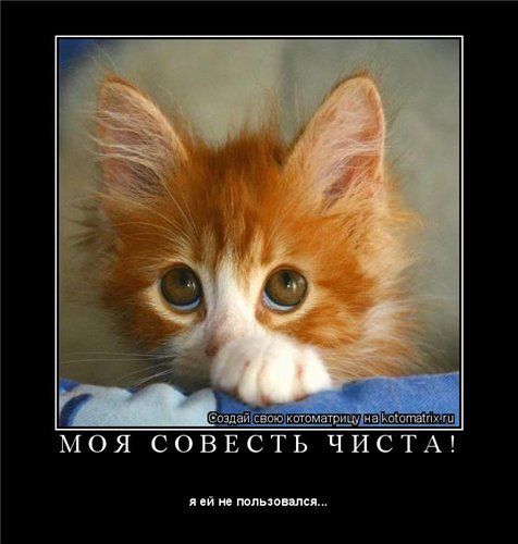 Кирилл Шеповалов