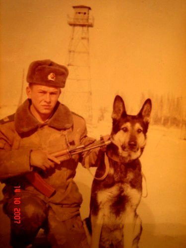 Виталий Зологин