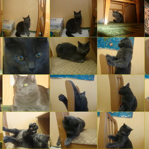 Настя Анронова