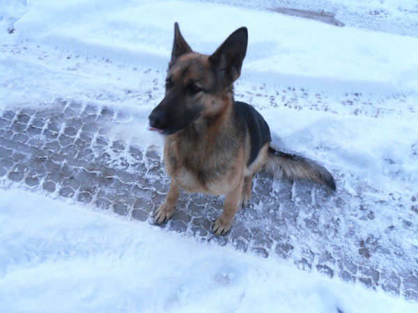 Дмитрий Иванов