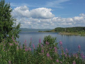 Ольга Сазонова